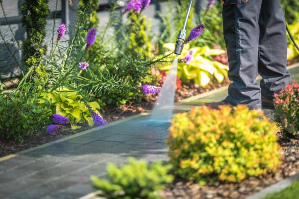 Best Patio and Deck Pressure Washing  in Oak Hills, CA